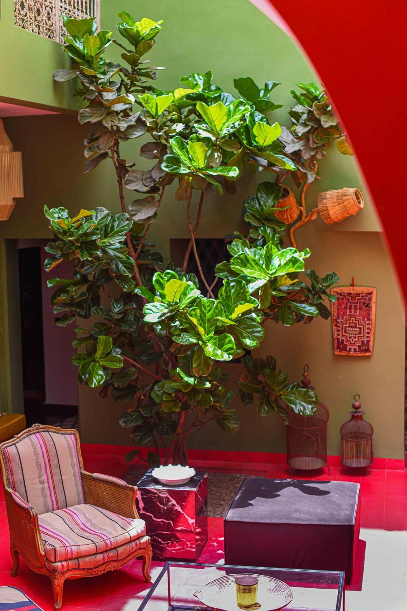 Hotel Riad Olive Privatif 4 Personnes Marrakesh Esterno foto